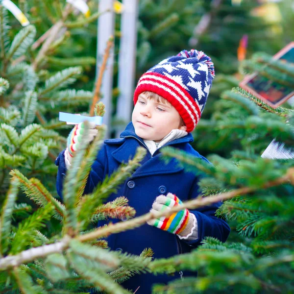 Hermoso niño sonriente sosteniendo el árbol de Navidad —  Fotos de Stock