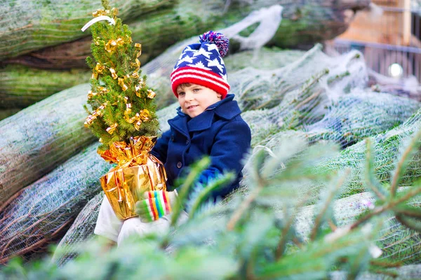 Beau petit garçon souriant tenant arbre de Noël — Photo