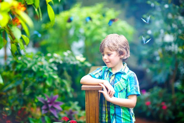 Niño rubio preescolar descubriendo plantas, flores y mariposas en el jardín botánico — Foto de Stock