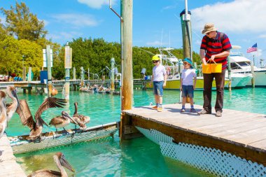 Baba ve iki küçük balıklar ve pelikanlar besleme çocuklar çocuk