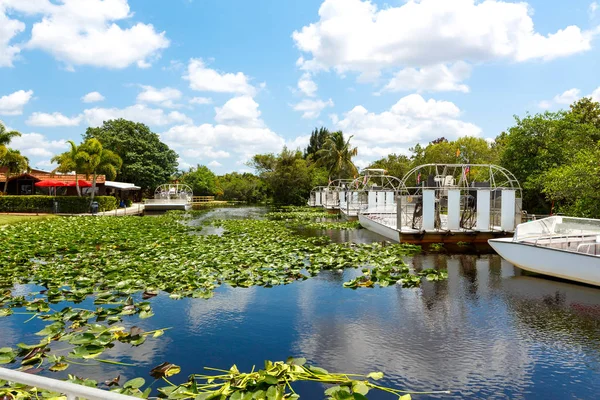 Florida pântano, Passeio de barco no Parque Nacional Everglades nos EUA . — Fotografia de Stock