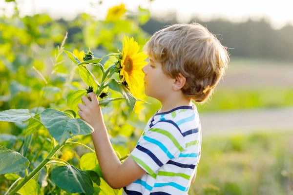 Adorable little blond kid boy on summer sunflower field outdoors — Stock Photo, Image