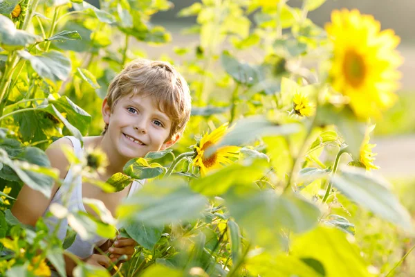 Adorable little blond kid boy on summer sunflower field outdoors — Stock Photo, Image