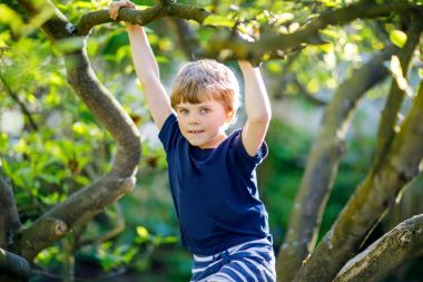 Küçük sarışın çocuk çocuk 5 yıllık ağacında yaz tırmanışı.
