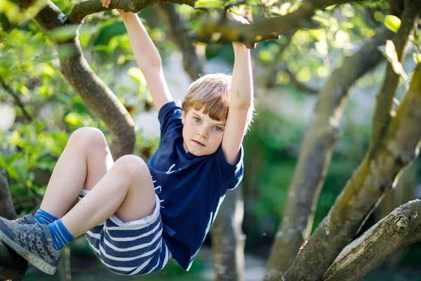 En liten blond guttunge som har klatret i tre om sommeren. . – stockfoto