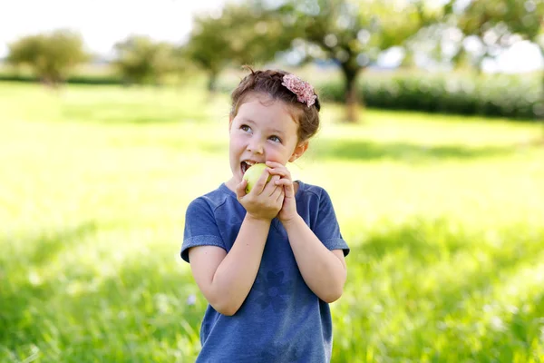 Eszik zöld alma, szerves gazdaságban, imádnivaló kis óvodáskorú gyerek lány — Stock Fotó