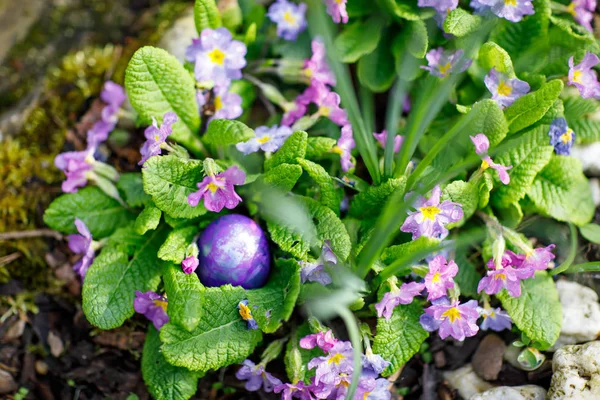 Closeup de ovos de Páscoa coloridos em cesta ao ar livre na grama verde . — Fotografia de Stock