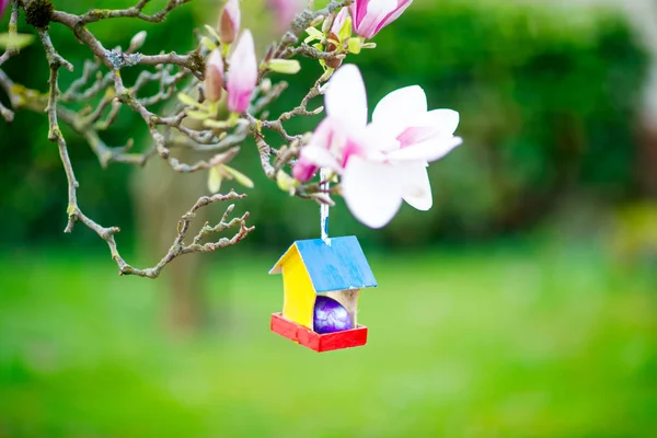 Closeup of colorful Easter egg in bird house on blooming magnolia tree — Stock Photo, Image