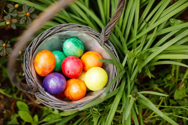 Närbild av färgglada påskägg i korg outddors i grönt gräs. — Stockfoto