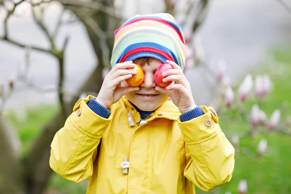 Bonito menino adorável fazendo uma caça ao ovo na Páscoa . — Fotografia de Stock
