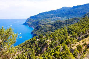 Island sahne, Mallorca İspanya'nın deniz manzarası. Mayorka, güneşli Akdeniz pastoral sahil şeridi