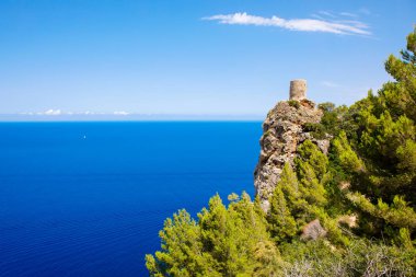 Island sahne, Mallorca İspanya'nın deniz manzarası. Mayorka, güneşli Akdeniz pastoral sahil şeridi