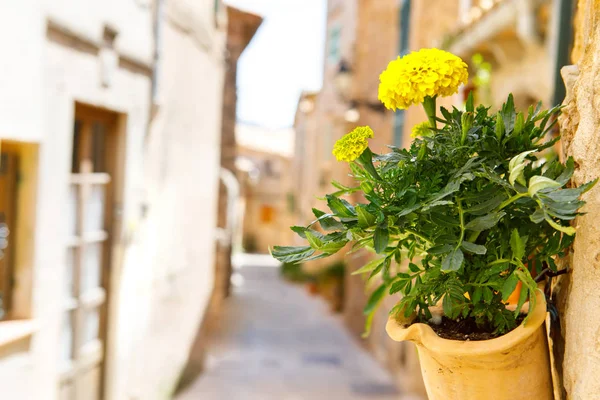 Beautiful street in Valldemossa with traditional flower decoration, famous old medanean village of Majorca. Балеарский остров Майорка, Испания — стоковое фото