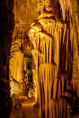 Dragon Majorca, İspanya üzerinde mağaralar. Güzel doğa Mallorca, Balear adaya mağaralar. Popüler turizm