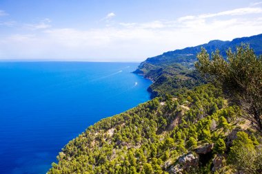 Island sahne, Mallorca İspanya'nın deniz manzarası. Mayorka, güneşli Akdeniz pastoral sahil şeridi