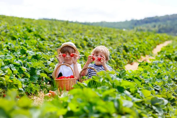 Två små syskon på jordgubbsodling på sommaren — Stockfoto