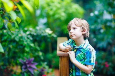 Küçük sarışın okul öncesi çocuk çocuk keşfetmek çiçekler ve kelebekler botanic Garden