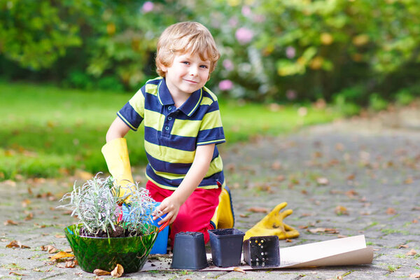 Забавный маленький мальчик сажает цветы в саду на спринге
