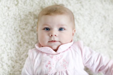 Sevimli, tapılası yeni doğmuş bebek portresi