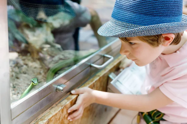 Küçük çocuk çocuk hayran terrarium içinde zehirli yeşil yılan — Stok fotoğraf