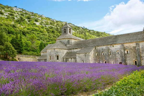 Abtei von Senanque und blühenden Reihen Lavendelblüten — Stockfoto