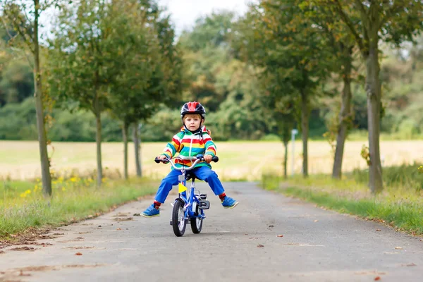 Kleiner netter Junge auf dem Fahrrad an einem Sommer- oder Autoparkttag. Gesundes fröhliches Kind hat Spaß beim Radfahren. — Stockfoto