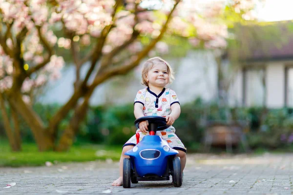 Linda niña jugando con azul pequeño coche de juguete en el jardín de casa o guardería. Adorable hermoso niño pequeño con magnolia floreciente en el fondo —  Fotos de Stock