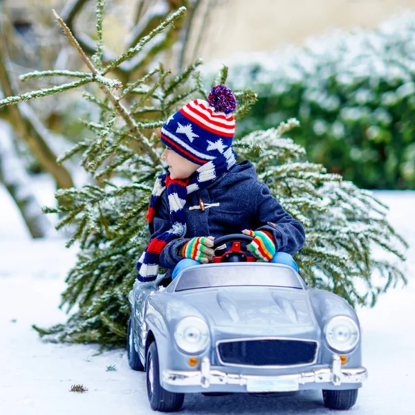 Adorável menino sorrindo garoto dirigindo carro de brinquedo com árvore de Natal. Criança feliz em roupas de moda de inverno trazendo árvore de xmas hewed da floresta nevada. Família, tradição, férias — Fotografia de Stock