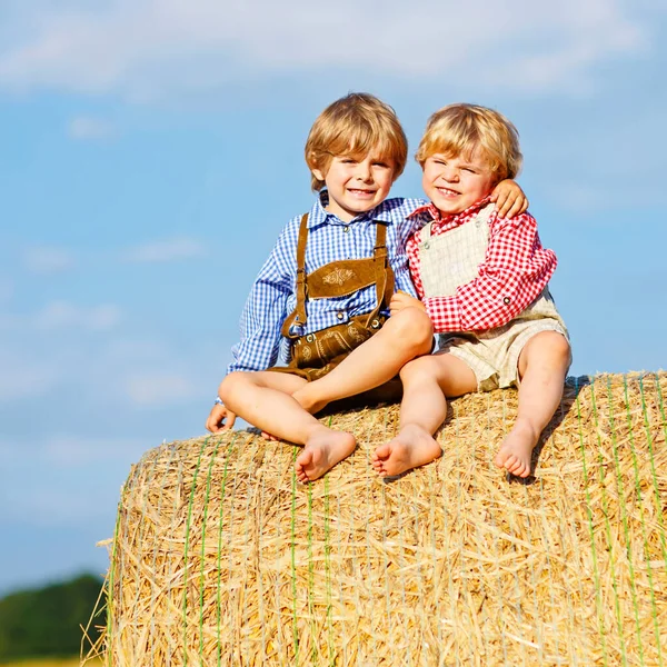 Dos niños pequeños, gemelos y hermanos sentados en el cálido día de verano en la pila de heno —  Fotos de Stock