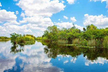 Florida sulak, tekne yolculuğu Everglades Ulusal Park ABD. Turistler, vahşi doğa ve hayvanlar için popüler bir yer