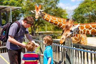 İki çocuk çocuklar ve izlemek ve hayvanat bahçesinde zürafa besleme baba. Mutlu çocuk, sıcak yaz gününde hayvanların safari park eğlenmek aile