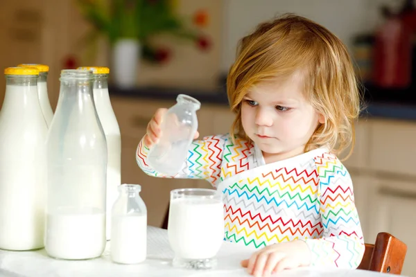 Adorable toddler girl drinking cow milk for breakfast. Cute baby daughter with lots of bottles. Healthy child having milk as health calcium source. Kid at home or nursery in the morning. — Stock Photo, Image