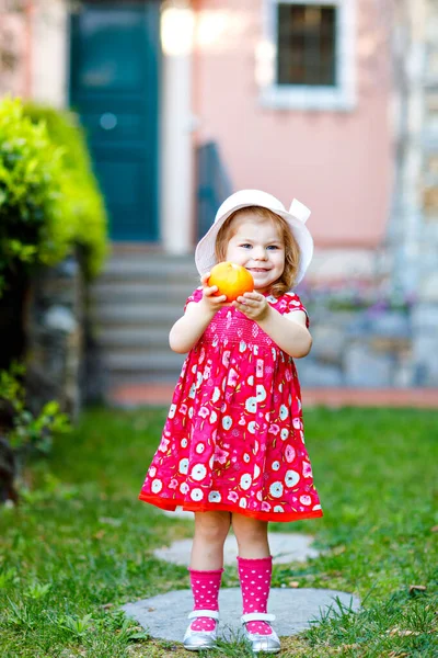 Pembe yaz bakmak giysiler, moda elbise, diz çorap ve şapka güzel küçük gorgeus güzel yürümeye başlayan kız Portresi. Mutlu sağlıklı bebek çocuk elinde turuncu tutan renkli evin önünde — Stok fotoğraf