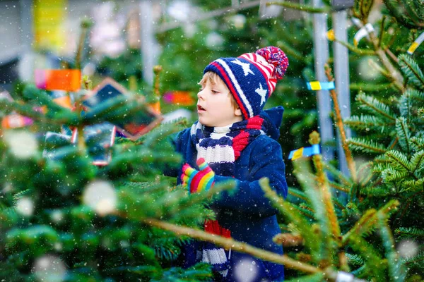 Adorable little smiling kid boy holding Christmas tree on market. Happy healthy child in winter fashion clothes choosing and buying big Xmas tree in outdoor shop. Family, tradition, celebration. — Stock Photo, Image