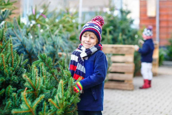 两个小兄弟的孩子抱着圣诞树在市场上。 快乐的孩子们穿着冬季时尚服饰在户外商店挑选和购买圣诞树。 家庭、传统、庆祝活动. — 图库照片