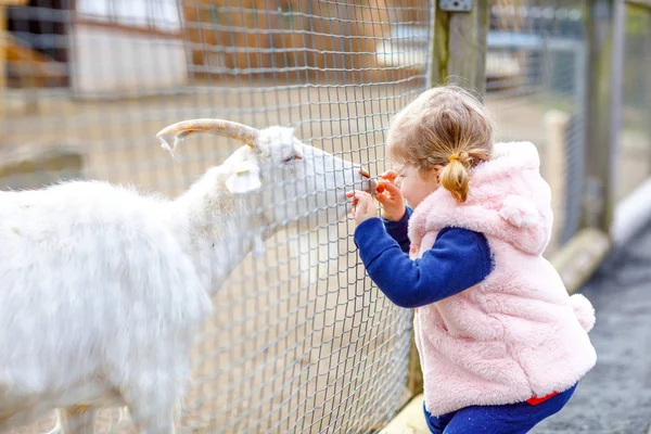 Roztomilé roztomilé batole dívka krmení malé kozy a ovce na dětské farmě. Krásné dítě mazlí zvířata v zoo. Nadšený a šťastný dívka o rodinném víkendu. — Stock fotografie