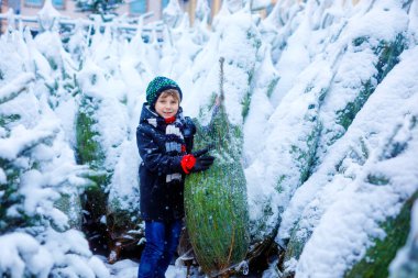Gülen çocuk elinde Noel ağacı tutuyor. Kışın giyinmiş mutlu çocuk, karlı kış gününde kostüm dükkanında Noel ağacı seçiyor ve satın alıyor. Aile, gelenek, kutlama.
