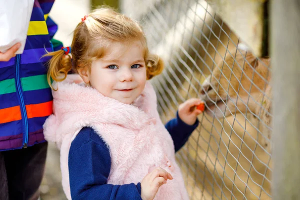 귀여운 아기 두 명 과 학교 남자 아이 한 명 이어린 염소들에게 먹이를 주고 아이들의 농장에서 젖을 먹이고 있습니다. 행복 한 형제 자매와 자매는 동물원에서 동물을 쓰다듬고 있다. 가족끼리의 즐거운 주말. — 스톡 사진