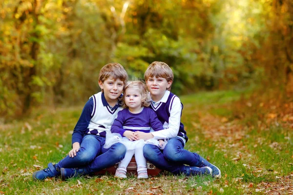 Porträt von drei Geschwisterkindern. Zwei kleine Geschwister und ein kleines süßes Schwestermädchen haben gemeinsam Spaß im Herbstwald. Glücklich gesunde Familie spielen, Wandern, aktive Freizeit in der Natur — Stockfoto