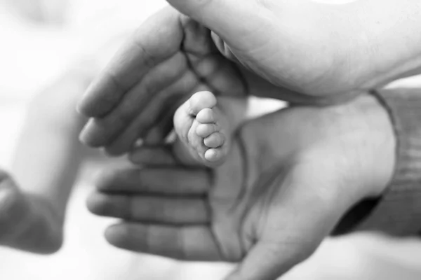 Father or mother holding foot of newborn baby. Adult hand and baby tiny baby feet. Happy parenthood, carefree childhood, family, love, tenderness. In black-and-white, monochrome. — Stock Photo, Image