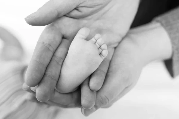 Fadern eller modern som håller foten av nyfött barn. Vuxen hand och baby liten baby fötter. Gott föräldraskap, sorglösa barndom, familjen, kärlek, ömhet. I svartvitt, svartvitt. — Stockfoto