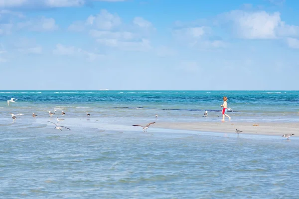 Niño activo divirtiéndose en la playa de Miami, Key Biscayne. Feliz niño lindo corriendo cerca del océano en un día cálido y soleado. Niño sano en pantalones de baño cazando aves gaviotas —  Fotos de Stock