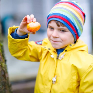 Paskalya 'da yumurta avına çıkan sevimli küçük çocuk. Mutlu çocuk ev bahçesinde renkli yumurtalar arıyor ve buluyor. Soğuk bir günde bahar kıyafetleri giymiş bir çocuk. Eski Hıristiyan ve katolok geleneği.