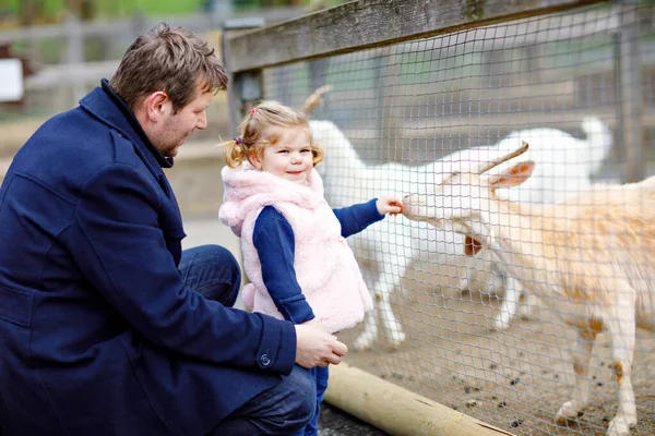 Schattig schattig peuter meisje en jonge vader voeden kleine geiten en schapen op een kinderboerderij. Prachtige baby kind aaien dieren in de dierentuin. man en dochter samen op familieweekendvakantie. — Stockfoto