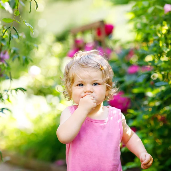Retrato de una niña comiendo fresa en el jardín. Lindo niño entre rosas florecientes. Feliz niño sano —  Fotos de Stock