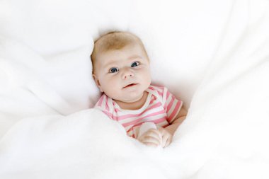 Sevimli, tapılası yeni doğmuş bebek portresi