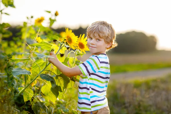 Adorabile ragazzino biondo sul campo estivo di girasole all'aperto. Bambino in età prescolare carino divertirsi nella calda serata estiva al tramonto. Bambini e natura — Foto Stock