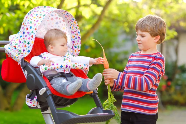 Little blond kid boy giving a carrot to baby sister. Happy siblings eating healthy snack. Baby girl sitting in pram or stroller. Brother and cute toddler outdoors, eating vegetables on summer day — Stock Photo, Image