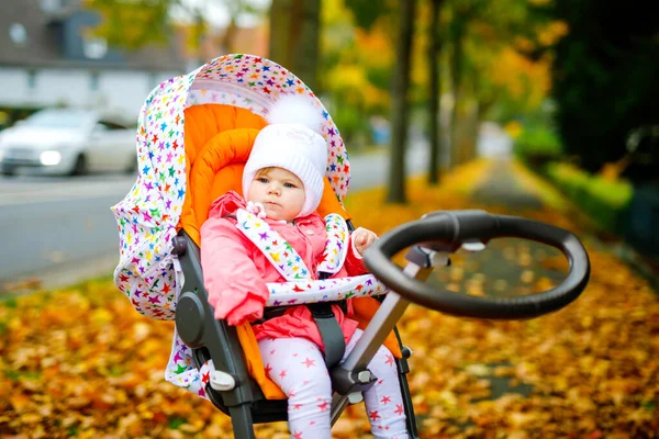 Aranyos kis gyönyörű kislány ül a babakocsiban, vagy babakocsi ősszel. Boldog egészséges gyermek megy sétálni a friss levegőn meleg ruhákban. Baba sárga őszi juharfák színes ruhákban — Stock Fotó