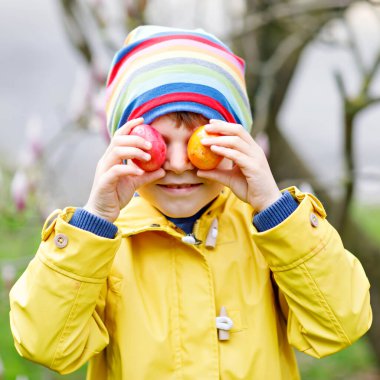 Paskalya 'da yumurta avına çıkan sevimli küçük çocuk. Mutlu çocuk ev bahçesinde renkli yumurtalar arıyor ve buluyor. Soğuk bir günde bahar kıyafetleri giymiş bir çocuk. Eski Hıristiyan ve katolok geleneği